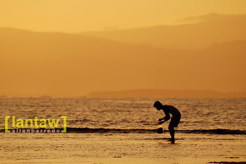 Sunrise Seaweed Gatherer