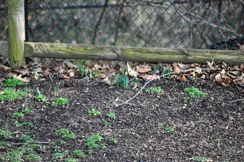 0201bulbs.jpg