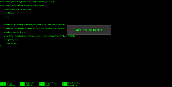 Anyone can be a hacker at HackerTyper.net. Press F11 to enter full screen and ALT to show "Access Granted" message.