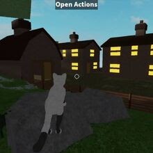 Roblox Warrior Cats Ultimate Edition Morph Ideas | 2018 How To Get Free