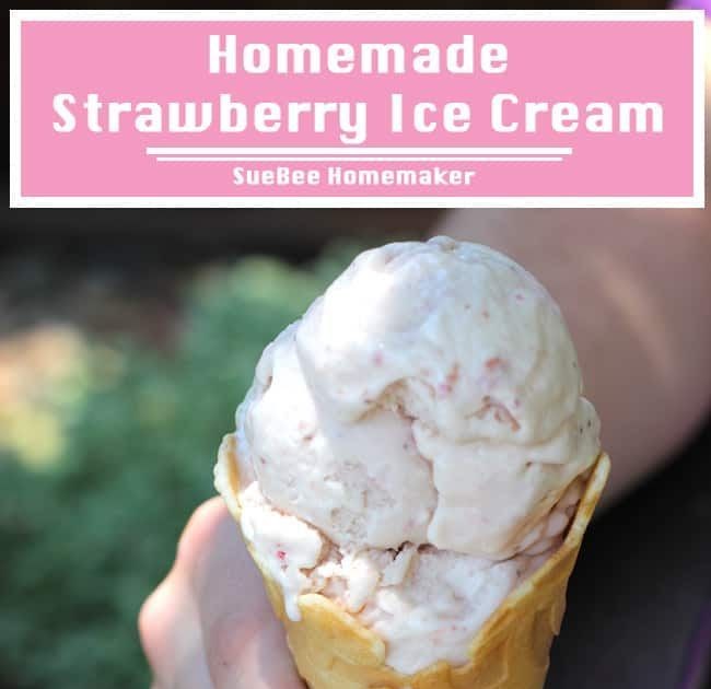Homemade Ice Cream Recipes For 4 Quart Maker - swindon food warehouse