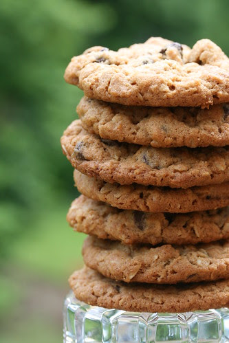 Food Librarian - National Chocolate Chip Day, May 15th
