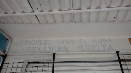 Home Cleaning Services ARTÍCULOS PARA EL HOGAR "DEYANIRA LUPITA"