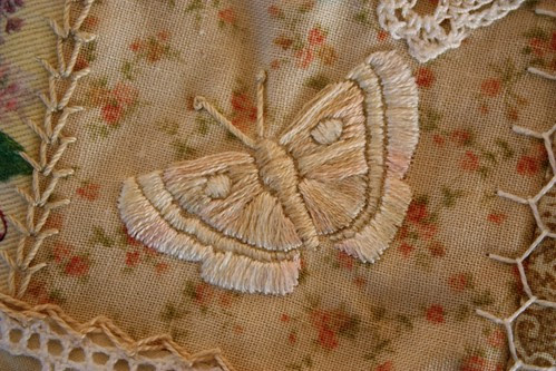 Butterfly in Cream