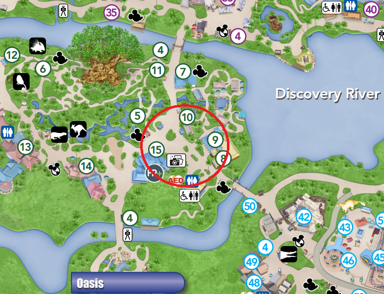Updated Animal Kingdom Park Map Now Available Orlando Theme Park News