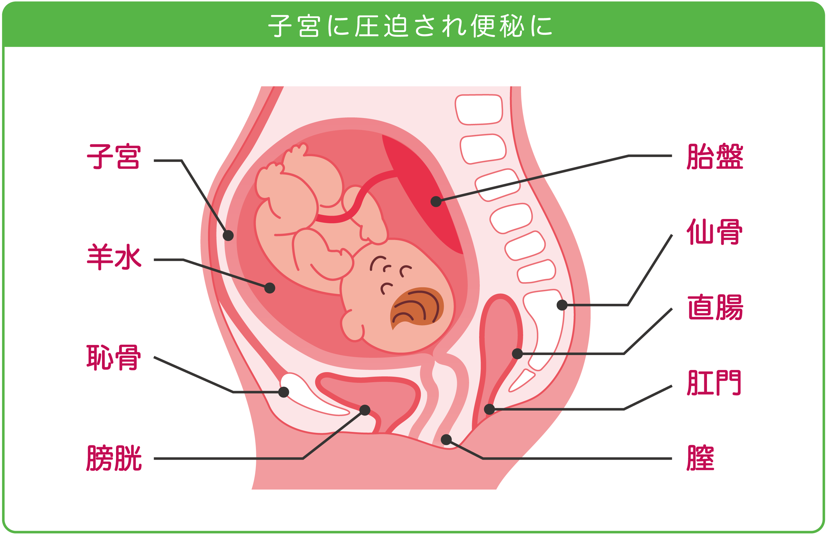 妊娠 中期 お腹 痛い