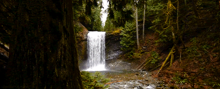 Os Presentes Que a Natureza Nos Dá