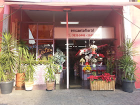 Floricultura Encanto Floral