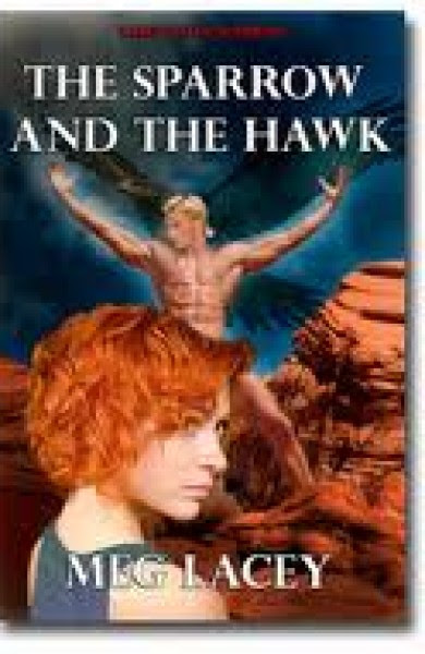 Pump Up Your Book Presents The Sparrow and the Hawk Virtual Book Publicity Tour