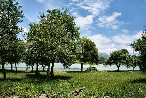 20090615-vs-1413