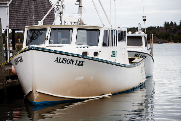 edgartown harbor, boats