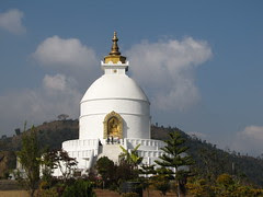 peace pakoda