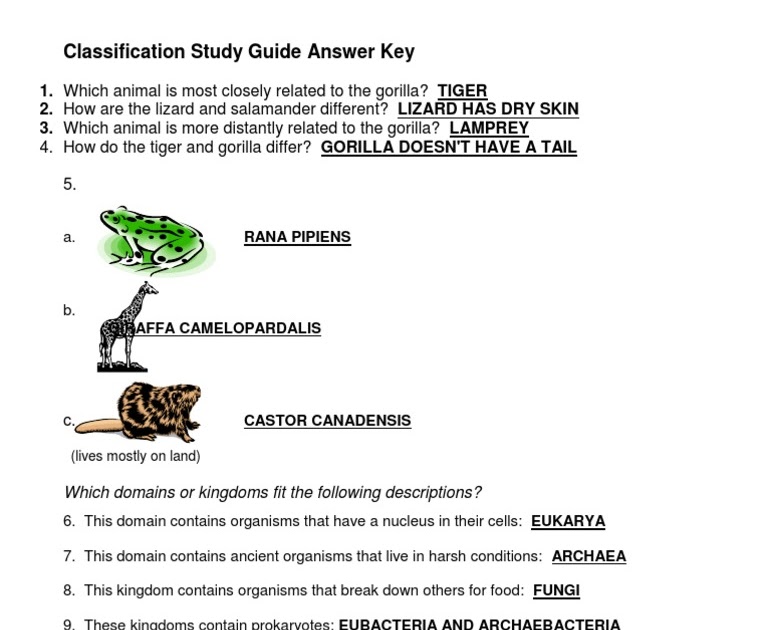 Lab Natural Selection Student Guide Answer Key 30 Natural Selection Simulation At Phet Worksheet Answers You Could Purchase Guide Explorelearning Student Exploration Stoichiometry Answers Or Get It As Soon As Feasible Seeyoojini