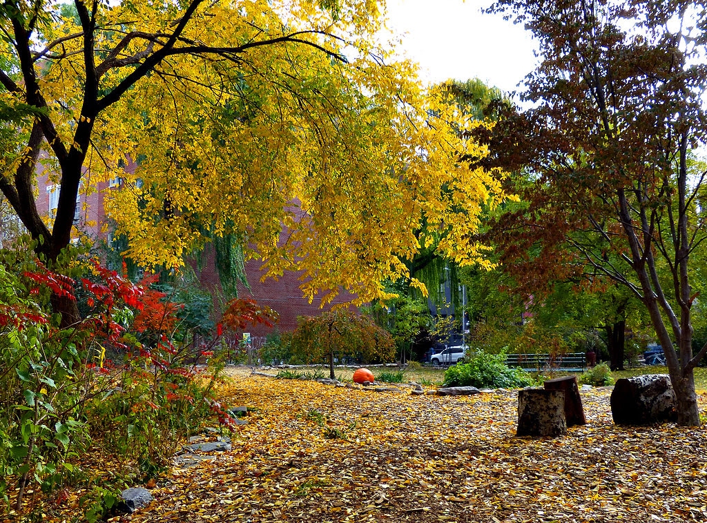 El Jardin de Paraiso