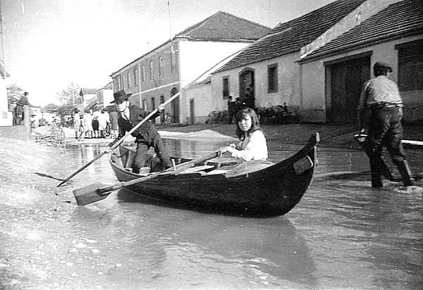 Cheia 1959-5