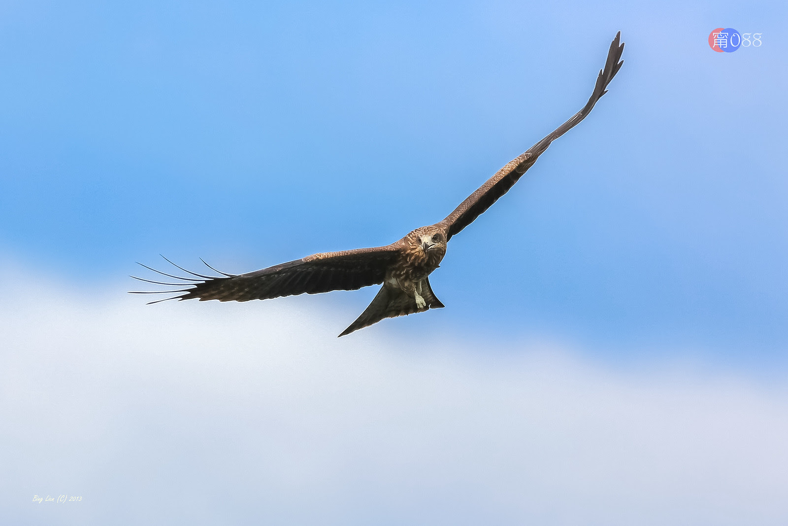 WATER_BING6704_LR