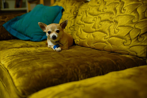 Vintage Couch
