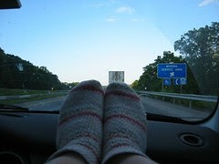 Socks Enjoying View