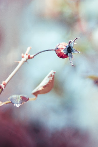 We wish ourselves beautiful, we cry in the night