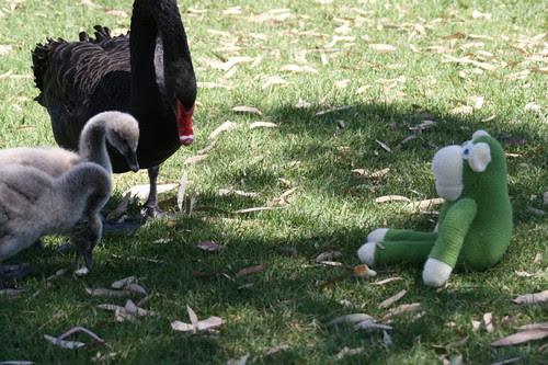 Walk along the Torrens