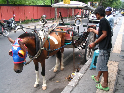 horse and cart