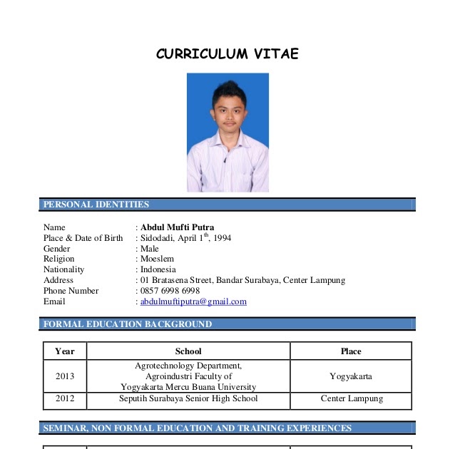 Cv Perawat Download 12 Template Cv Kreatif Format Doc Pdf