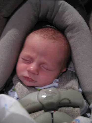Week 3- 007