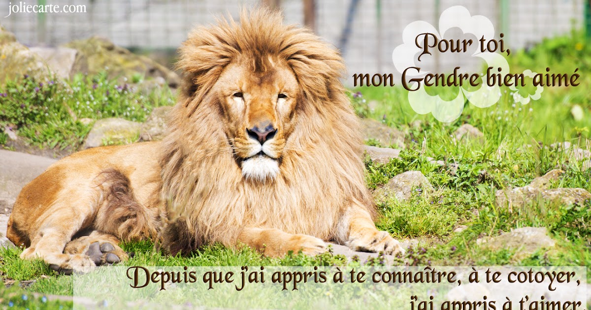 Sms Joyeux Anniversaire A Mon Gendre Joyeux Anniversaire Mon Gendre Humour