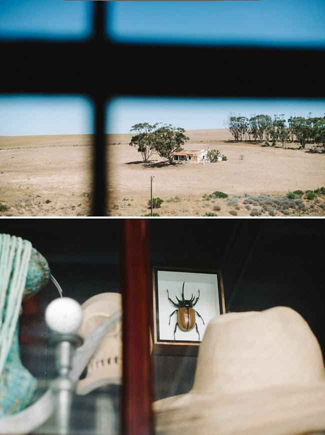 http://farm9.staticflickr.com/8370/8529036452_c347532a19_b.jpg