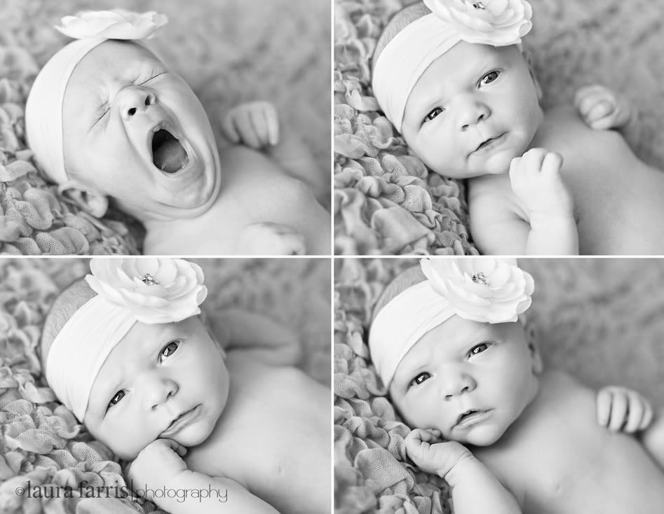 boise idaho baby photographer