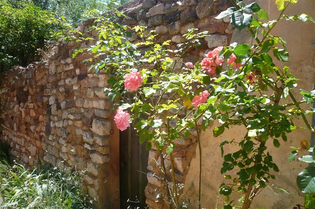 P1230270