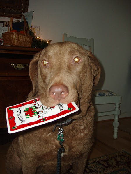 Me with my very own Christmas card!