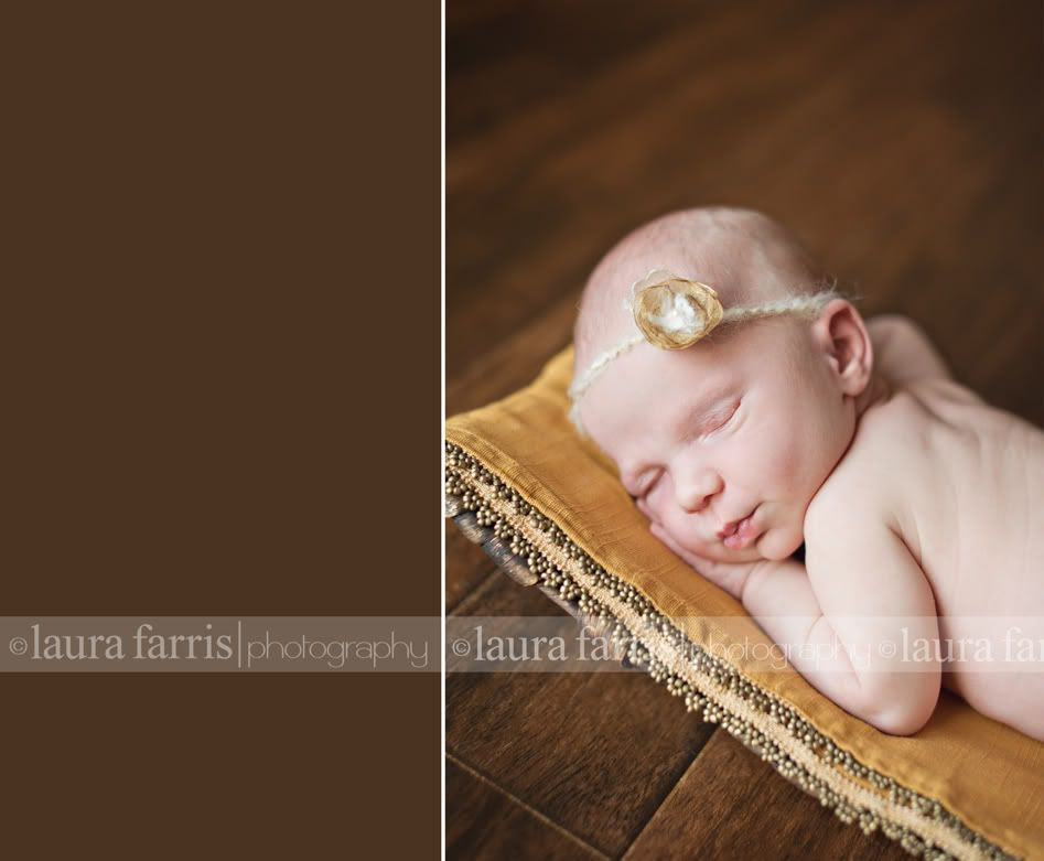 boise idaho baby photographer