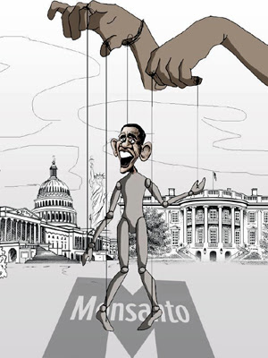 Caricatura de Obama, títere de Monsanto