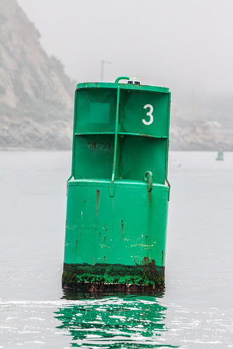 Green Canister Buoy Number 3 in the Morro Bay, CA Harbor Channel adjacent to Morro Rock, inside the breakwater.