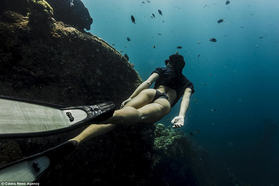 She has given a glimpse into her life under the sea - with breathtaking photos showing her twirling among sea creatures