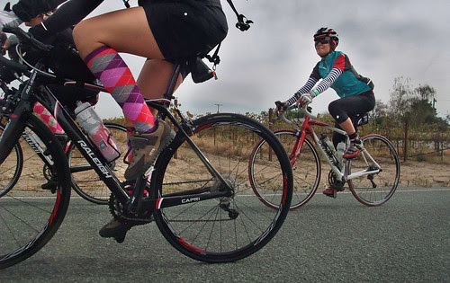 Giro d' Vino 2013 socks