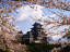 Himeji-jo Castle and cherry blossom.