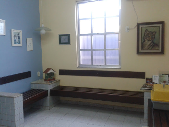 Baby Dog's Veterinária - Rio de Janeiro