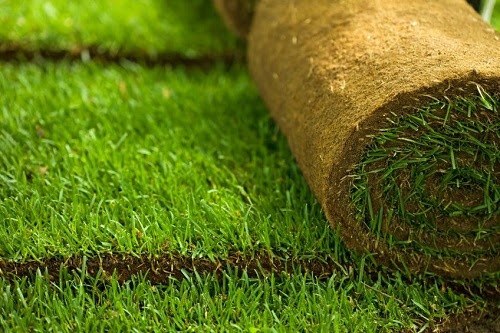 10 ideas for affordable garden design
