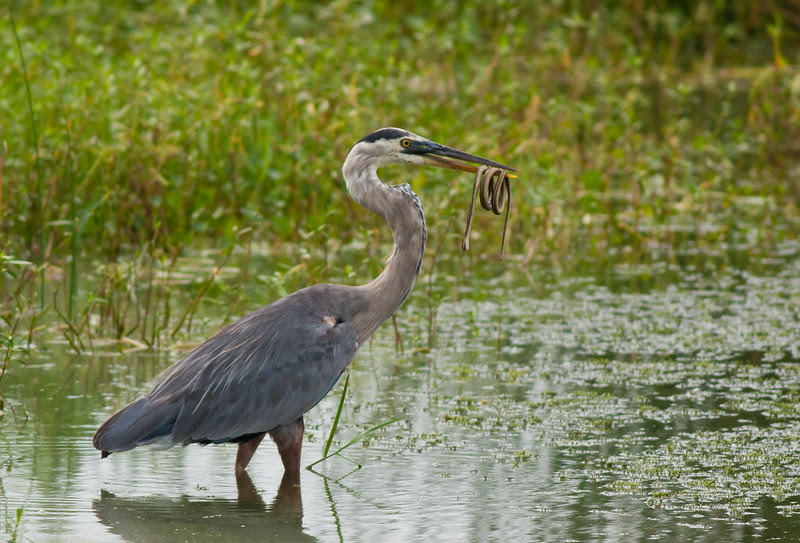 Photo & Video Sharing by SmugMug Photo & Video Sharing by SmugMug