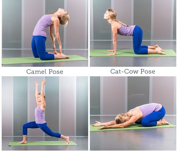 BetterFashion: Essential Yoga Poses Everyone Should Practice