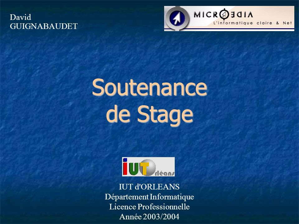 Exemple Rapport De Stage Dut Gim  Le Meilleur Exemple