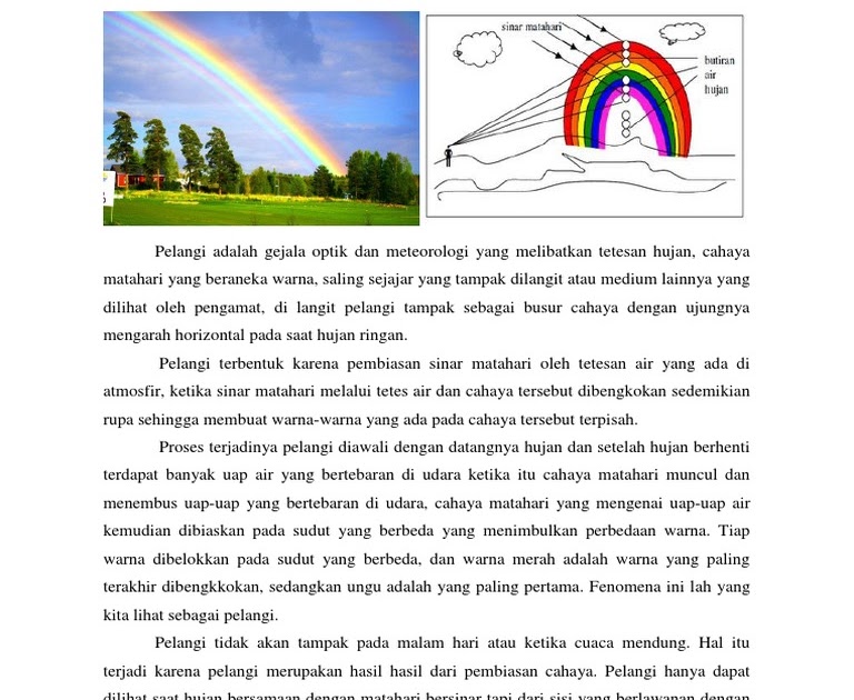 Contoh Teks Eksplanasi Singkat Beserta Strukturnya / Contoh Teks