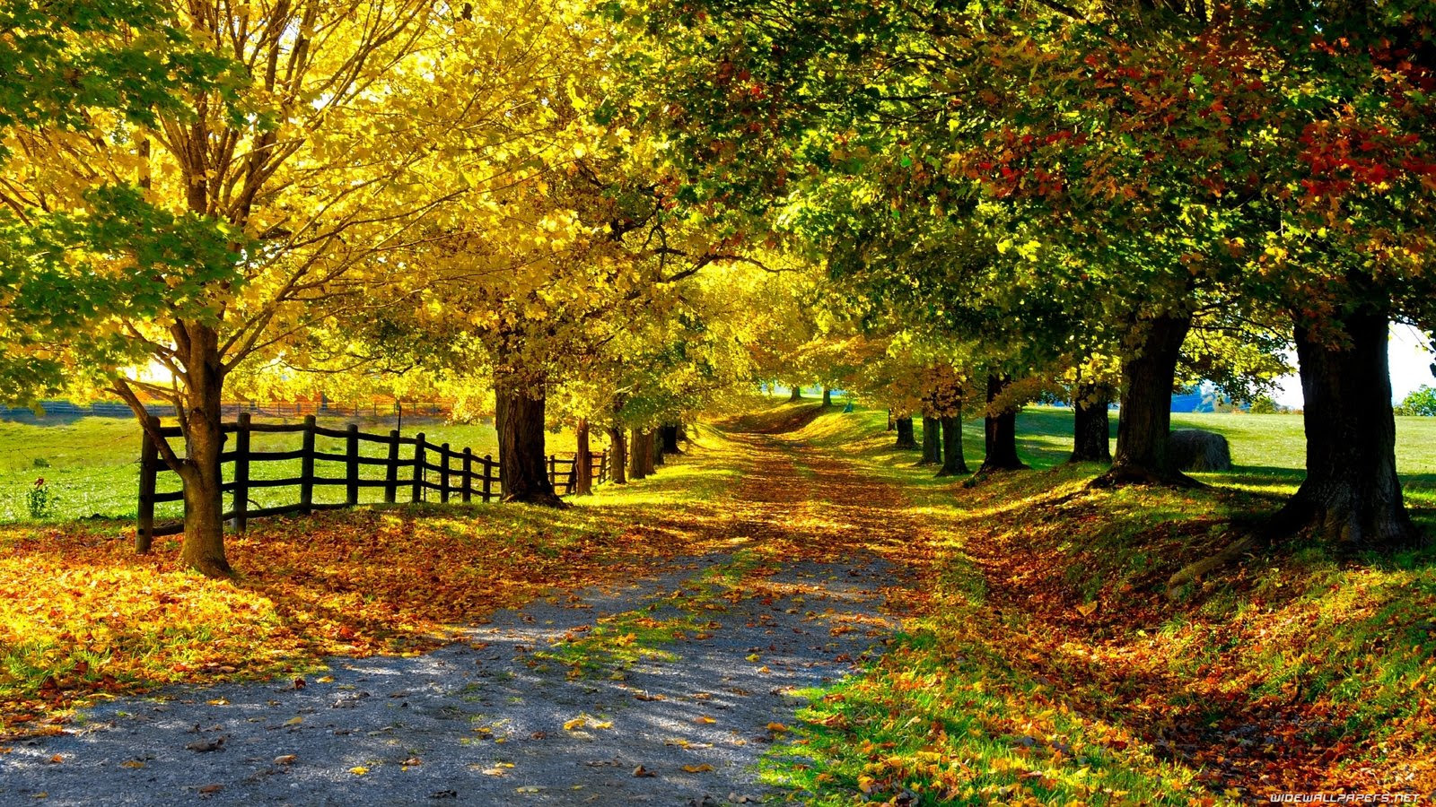 Backgrounds Pictures Of Nature / Best Nature, HD Nature, 4k Wallpapers
