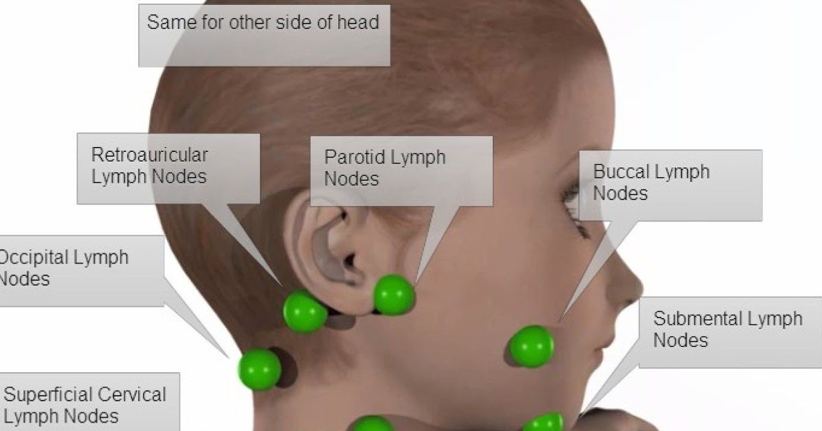 Back Of Neck Anatomy Lymph It S Not A Cervical Lymph Node It S A Vein