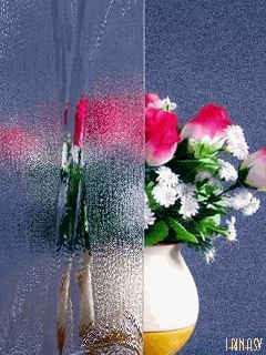 Цветы в вазе и дождь