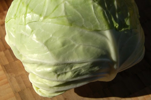 Green cabbage by Eve Fox, Garden of Eating blog, copyright 2011