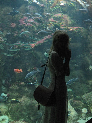 Academy of Sciences