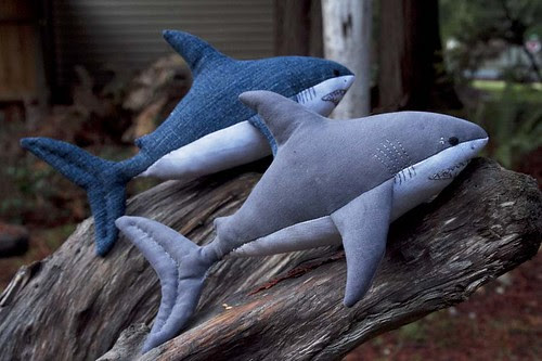 two sharks
